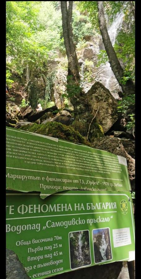 Къща Томови,стаи за гости Девин Екстериор снимка